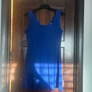Blue Sleeveless Skater Dress